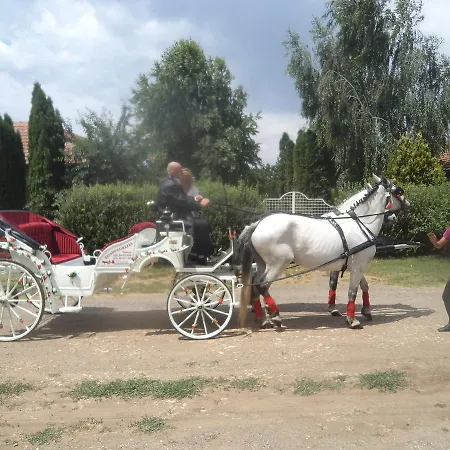 Appartamento Piheno *