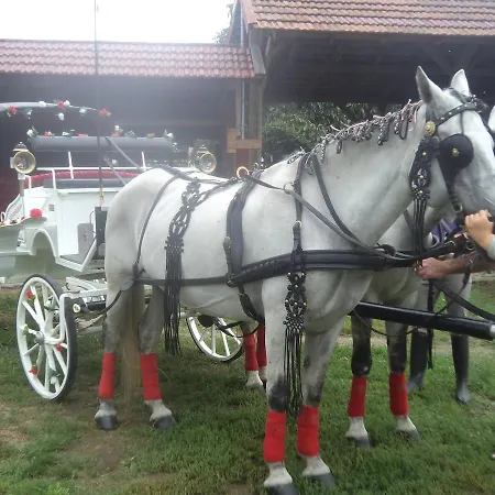 Piheno Tiszafüred